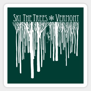 Ski Vermont Green Mountains Magnet